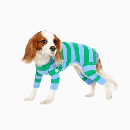 STRIPE ALL-IN-ONE POLOBUiLD A PUPPY빌드어퍼피