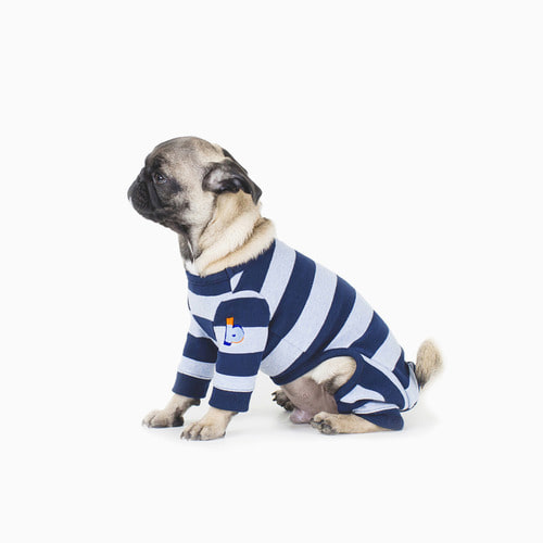 STRIPE ALL-IN-ONE PAPPILLONBUiLD A PUPPY빌드어퍼피